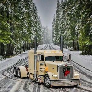 Meet your Posher, Nelson